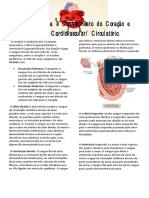 Resumo Coração PDF