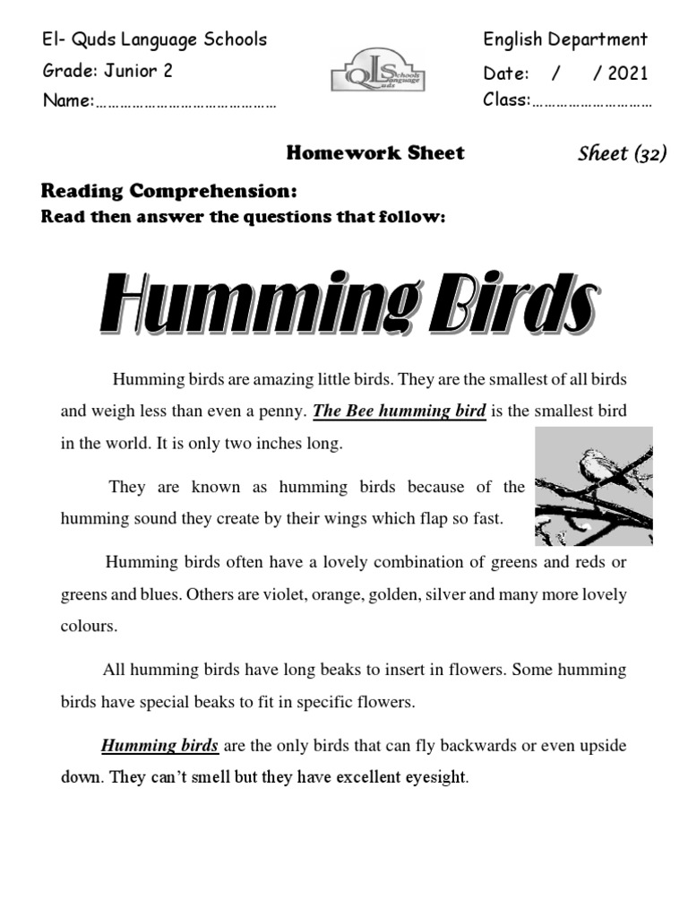 Homework Sheet Reading Comprehension:: Humming Birds Are The Only Birds ...