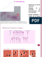 ViabilidadEspermáticaEosinaNigrosina