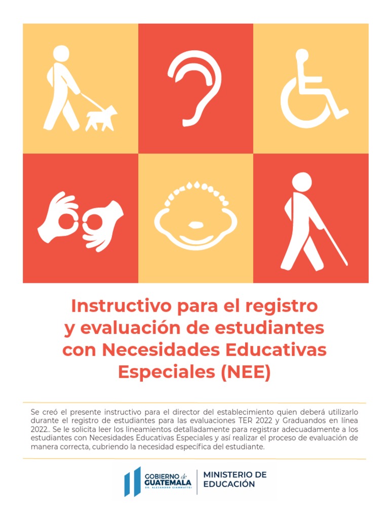 Registro de Estudiantes con NEE | PDF | Evaluación | Discapacidad visual