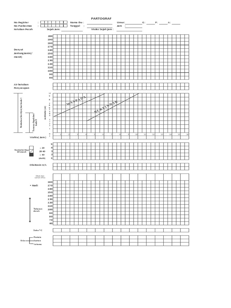 Panduan Lengkap Partograf Persalinan | PDF