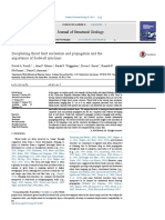 Deciphering Thrust Fault Nucleation and Propagation and The