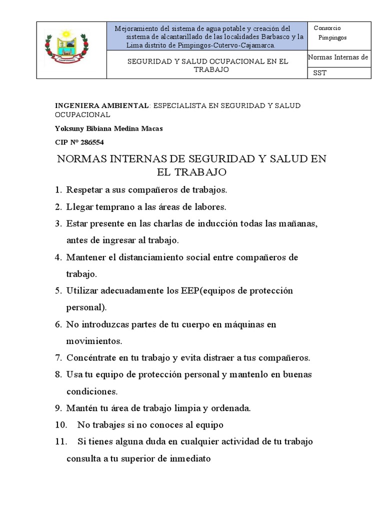 Normas Internas de Seguridad y Salud en El Trabajo | PDF
