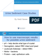Urine Sediment Case Studies: by Heidi Hanes