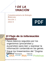 FLUJO DE LA INFORMACION