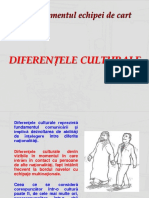 MEC 6 - Diferentele Culturale