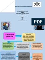 Trabajo Campo de La Pisocologia - Ps. Del Desarrollo