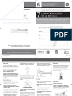 7 - Funcionalidad Rodilla