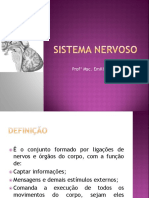 Sistema Nervoso