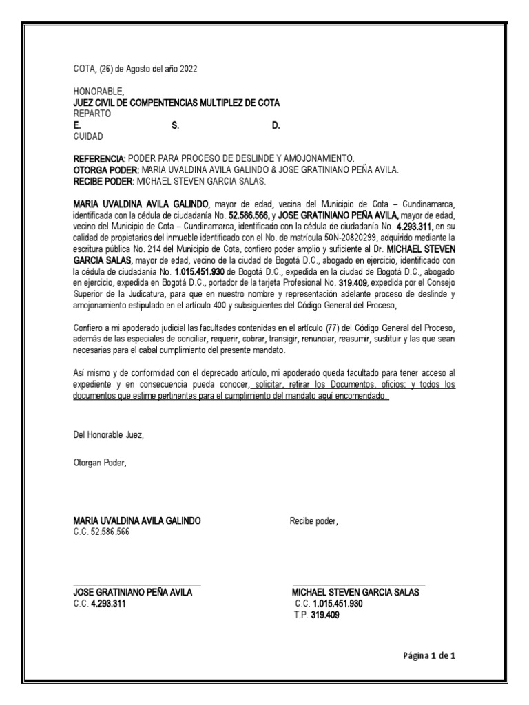 Poder para Proceso de Deslinde y Amojonamiento. PDF Justicia Crimen y violencia