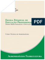 A Floricultura no Nordeste Brasileiro e no Ceará