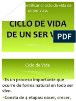 Ip Ciclo de Vida 2º 15 Junio