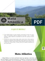 biomadamataatlntica-151125212718-lva1-app6891