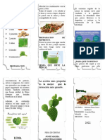 Saltadito de Penca Triptico