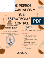 Estrategias y Control de Desnutricion