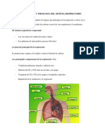 Fisiologi y Fisiopatologia Sistema Respiratorio .