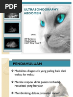 Download Jurnal USG Radiologi by Alif Gunawan SN59013082 doc pdf