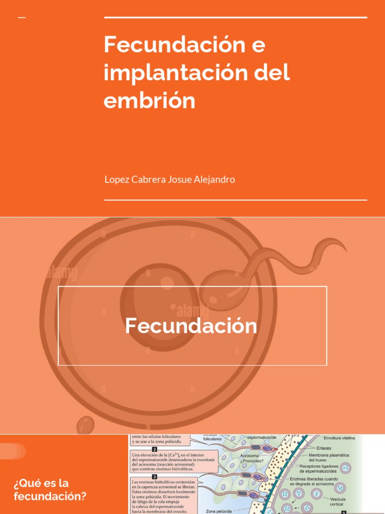 Fecundacion e Implantacion Del Embrión | PDF | Implantación (embrión ...