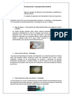 Act. Fundamental 1. Ejemplos Biomimética