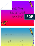 Control de Fauna Nociva