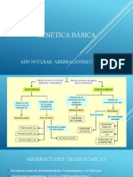 Aberraciones Cromosómicas y Patologías Cromosómicas