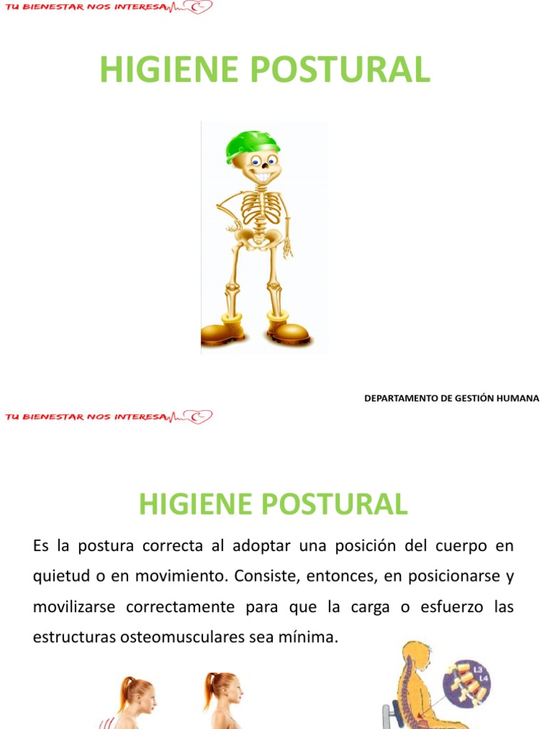 Guía de Higiene Postural Laboral | PDF | Dolor lumbar | La columna ...