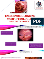 Períodos Embrionarios y Membranas Palacentarias