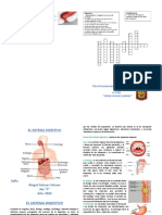 Sistema Digestivo DIPTICO