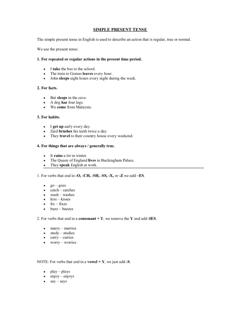 Simple Present Tense Notes for Primary School Child