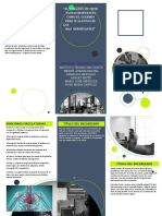 Sistema Circulatorio Folleto