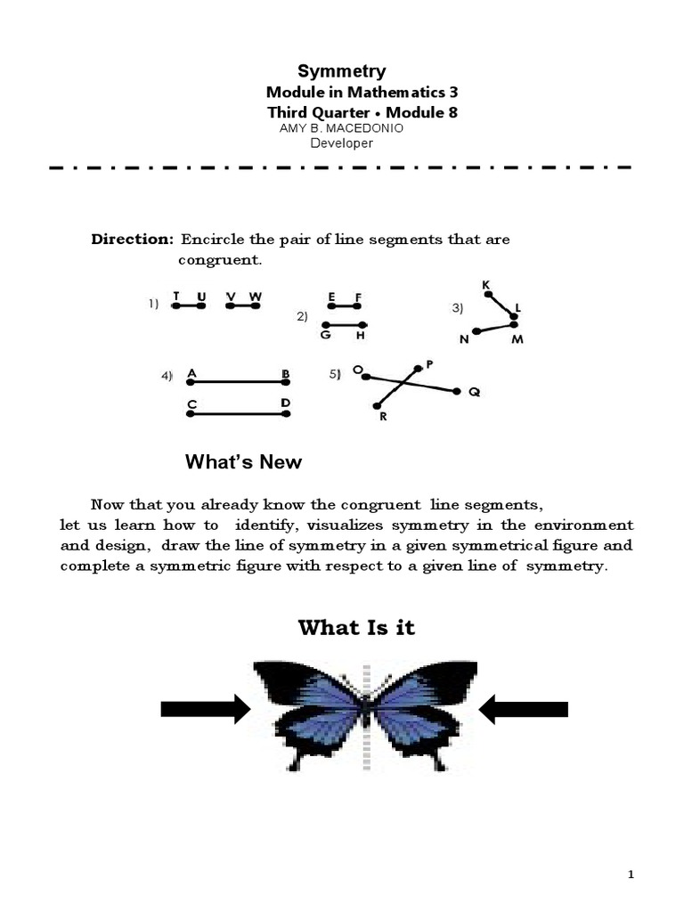 Grade 3 Symmetry Module 8 | PDF | Symmetry | Shape