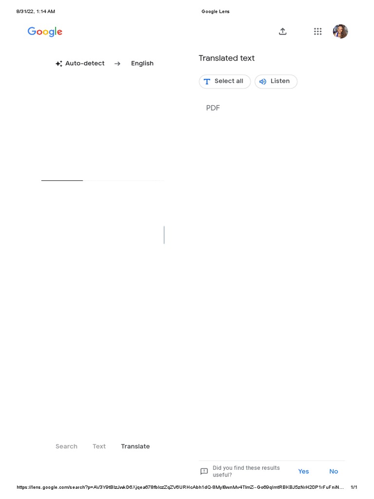 Translated Text: Auto-Detect English | PDF
