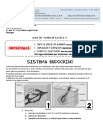 Sistema endocrino: glándulas y hormonas