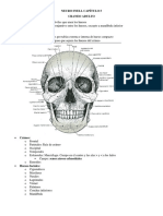 Neuro Snell Capítulo 5