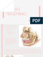 Nervio Trigémino