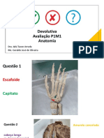 Anatomia do membro superior