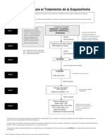 Algoritmo Para El Tto de La Esquizofrenia (TMAP) (1)