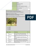 Clasificacin de Plantas