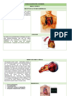 Revascularizacion Coronaria Tecnica