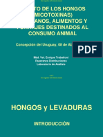 Hongos y micotoxinas en granos y alimentos para animales