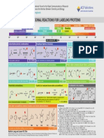 Bioorthogonal Reactions For Labeling Proteins