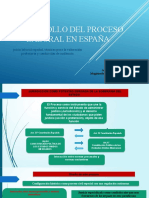Desarrollo Del Proceso Laboral en España