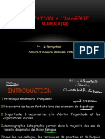 2- Imagerie Mammaire h2tbo