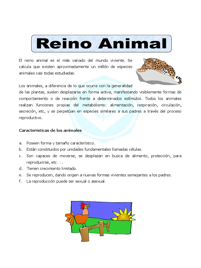 Guía Interactiva de los Seres Vivos para Niños, image size:768x1024