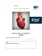 Practica No. 5 Disección de Corazón