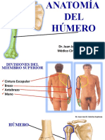 37.canal - Anatomía Del Húmero