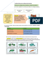 Con Ayuda de Un Familiar Te Invito A Planificar Tu Escritura para Elaborar Tu Catálogo de Plantas, Responde A Preguntas