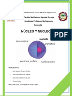 Núcleo y nucleolo: estructura y funciones