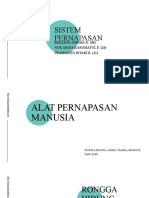 F.kol Sistem Pernapasan