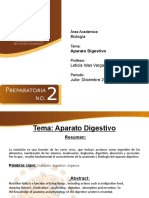 Aparato digestivo: nutrición y órganos clave